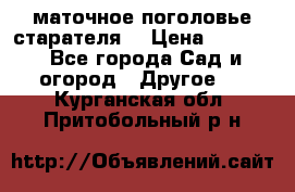 маточное поголовье старателя  › Цена ­ 3 700 - Все города Сад и огород » Другое   . Курганская обл.,Притобольный р-н